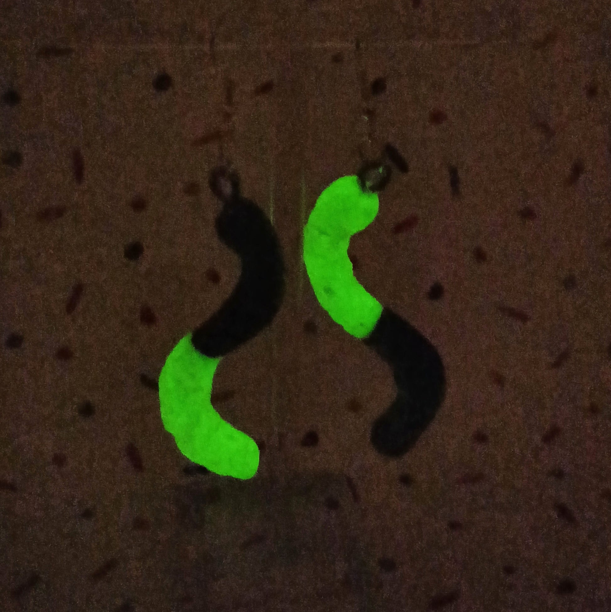 sour worm earrings that glow in the dark 